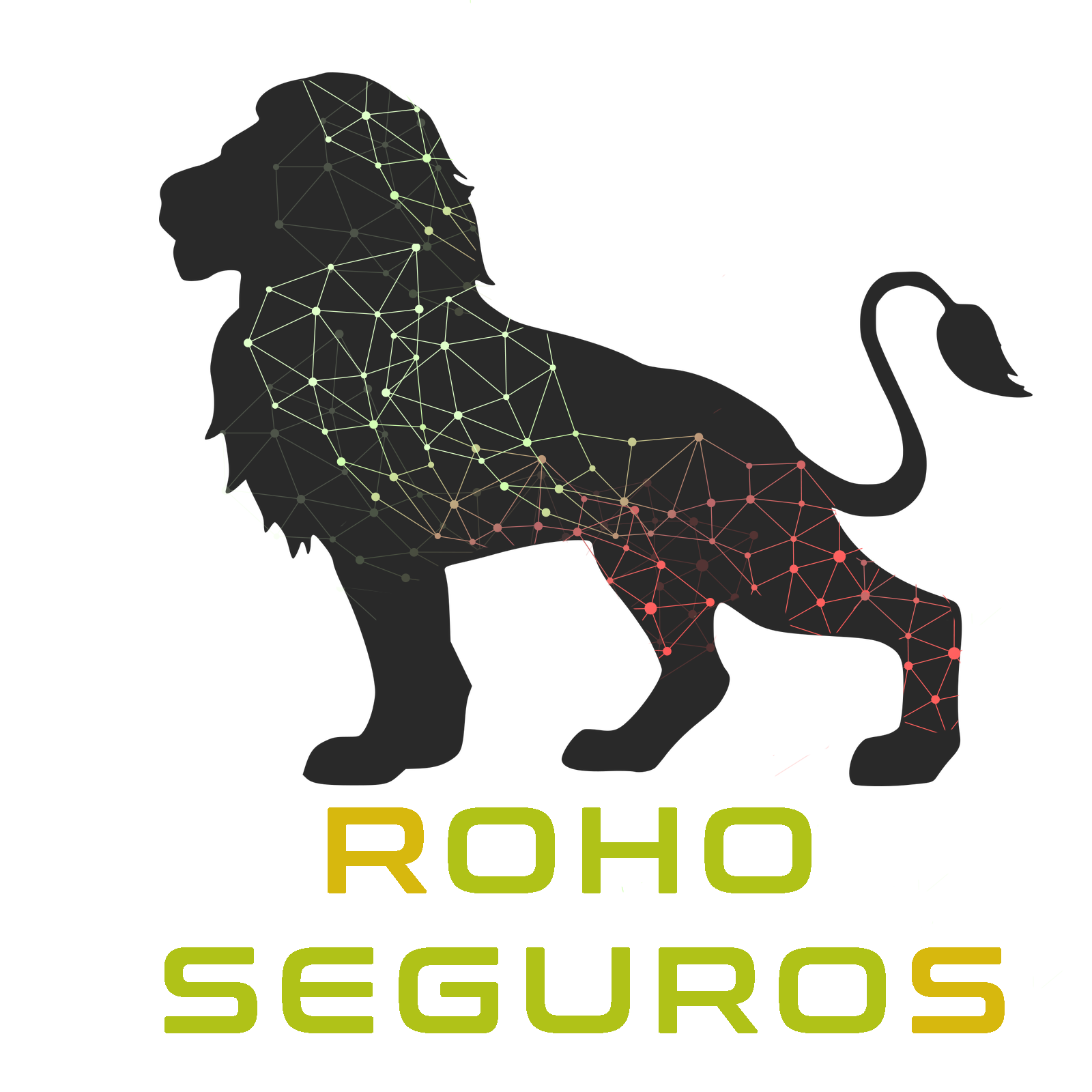 Roho Seguros